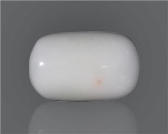 Natural White Coral  9.04 CTS (50209)